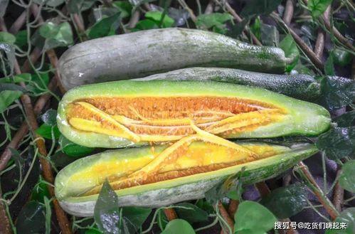 长春网红刘祉辰吃瓜,吃瓜成瘾，揭秘娱乐圈幕后风云